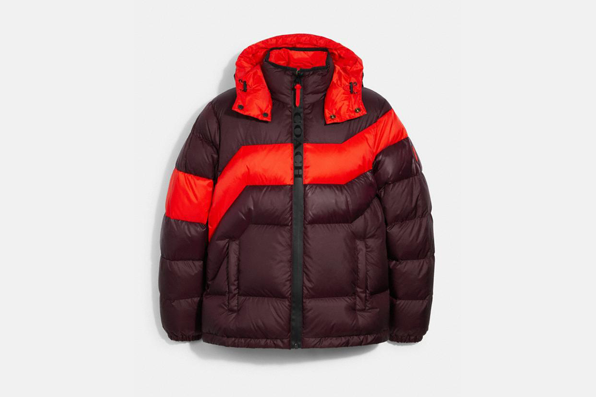 Coach hooded down jacket
