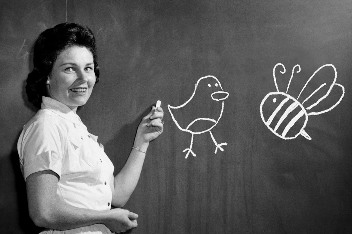 teacher drawing birds and bees on chalkboard