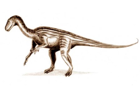 Thecodontosaurus