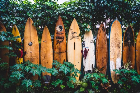 hawaii surfboards