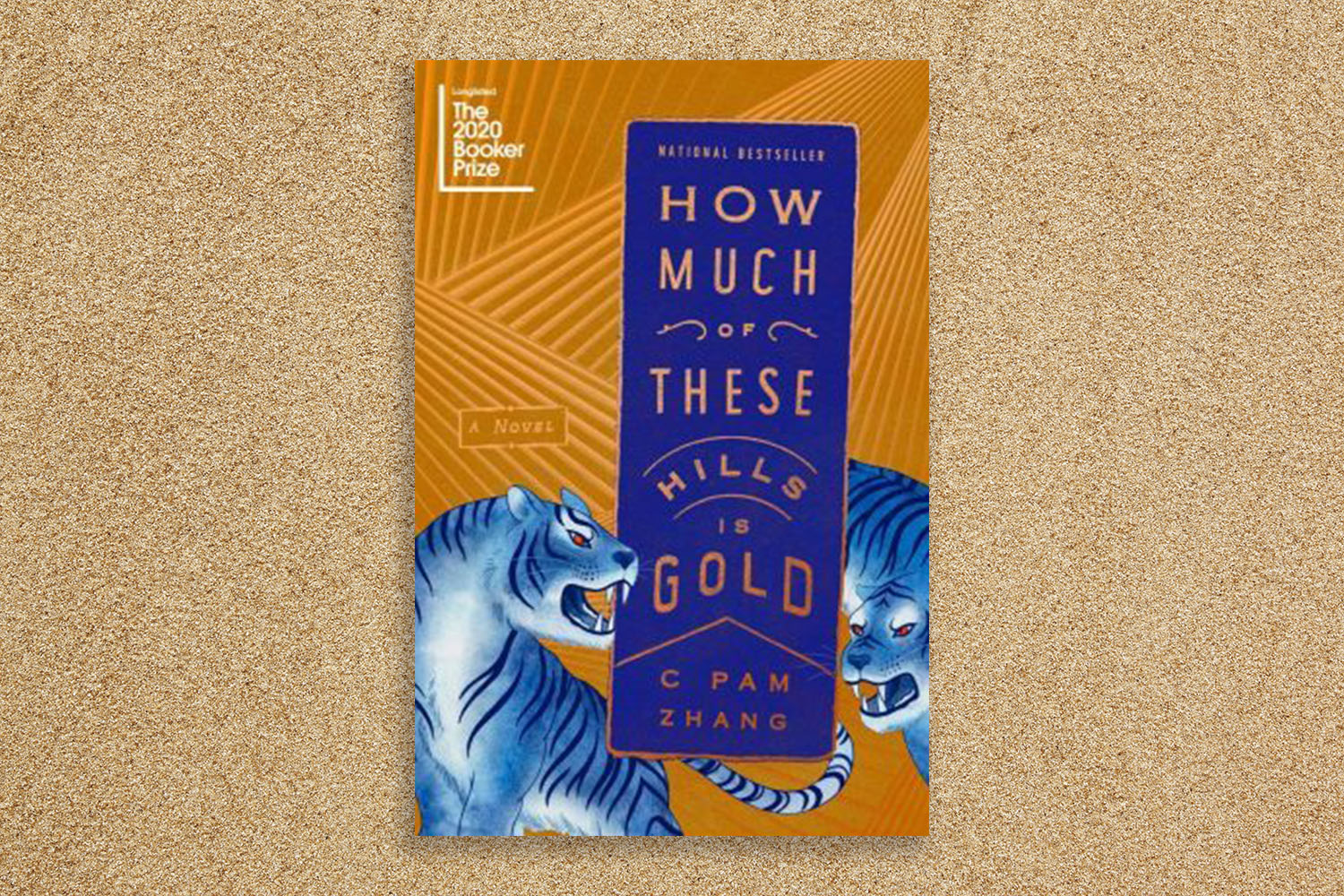 "How Much of These Hills Is Gold" cover.