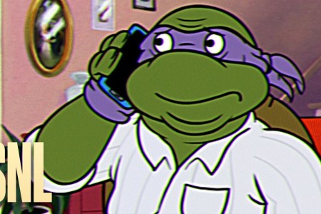 SNL Turtles