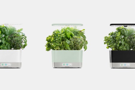 aerogarden harvest LED grow kit