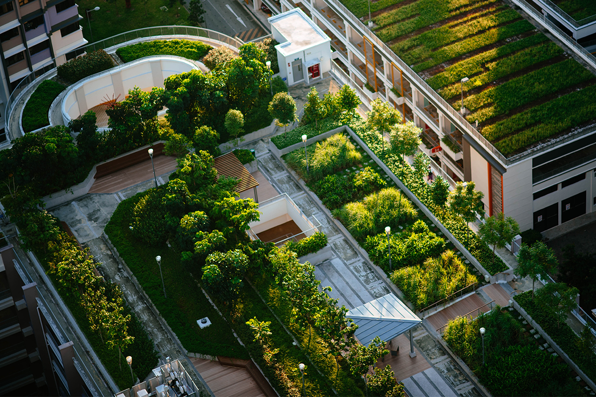 building design with green space helps mental health