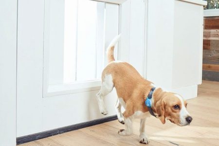High-tech pet door