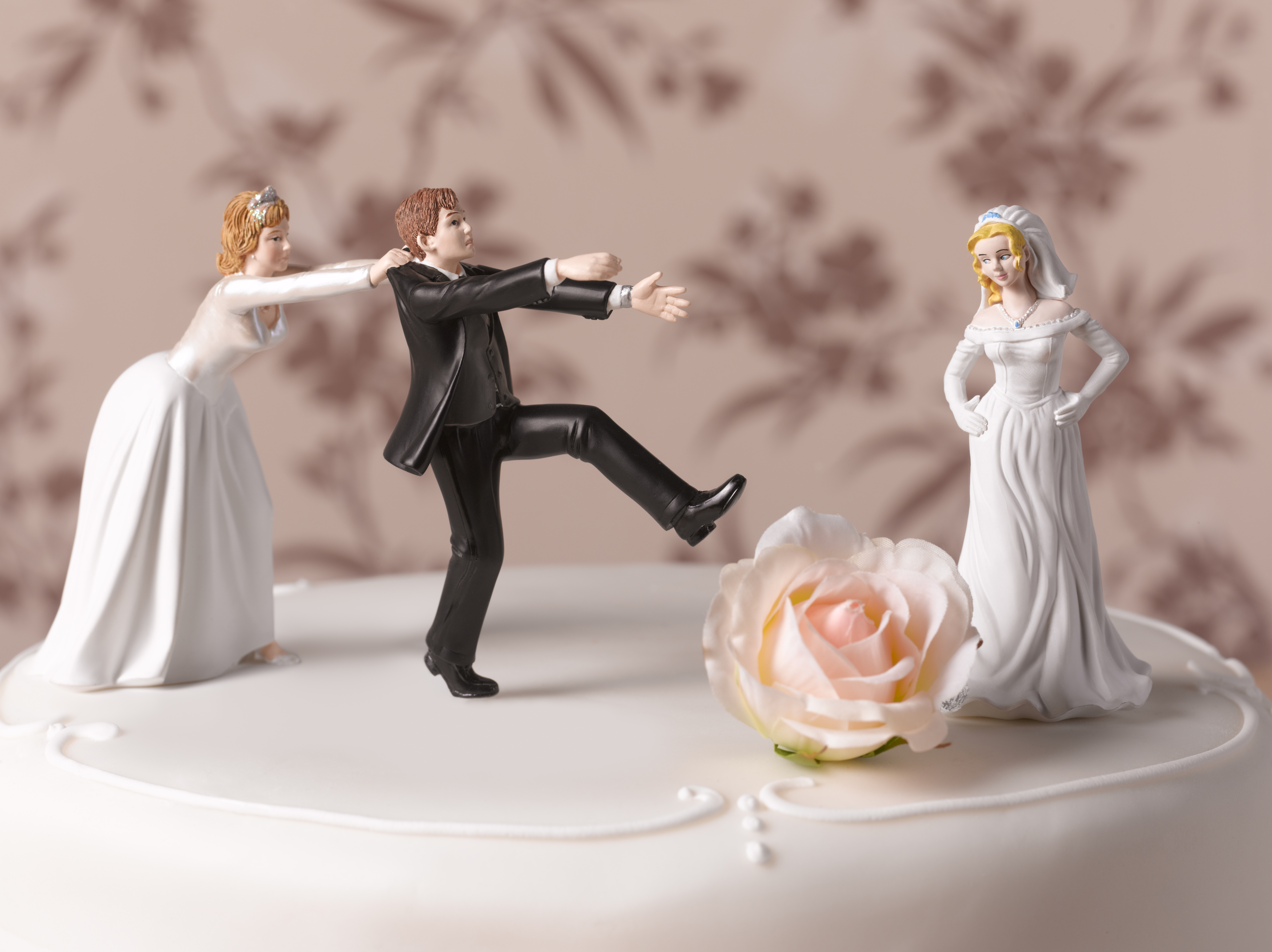 brides fighting over groom cake topper