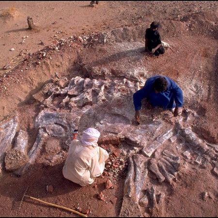 Sahara :The Valley Of Dinosaurs In Niamey, Niger In December, 2000.