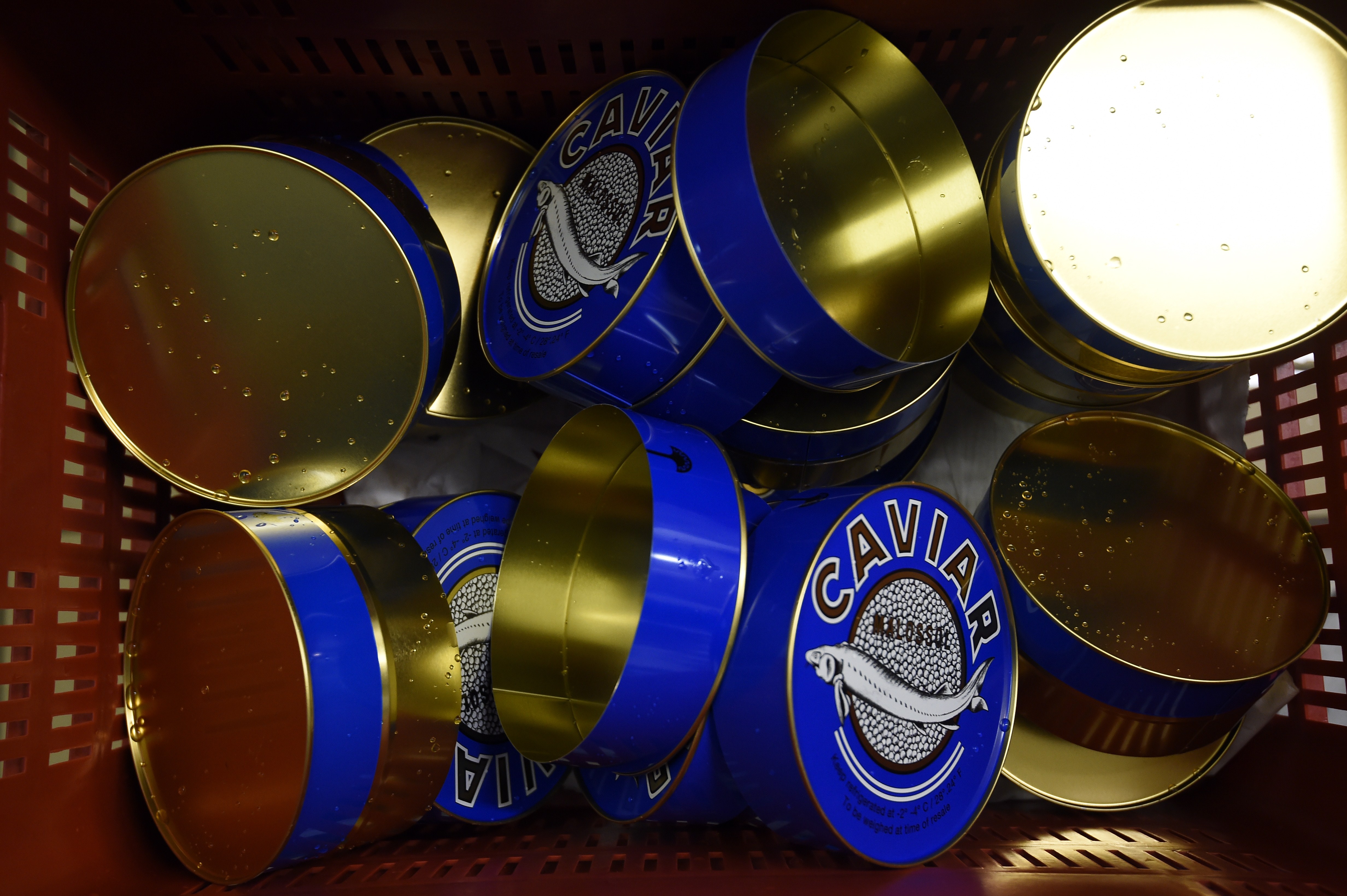 empty caviar tins