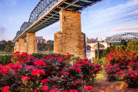 Chattanooga, Tennessee wfh city