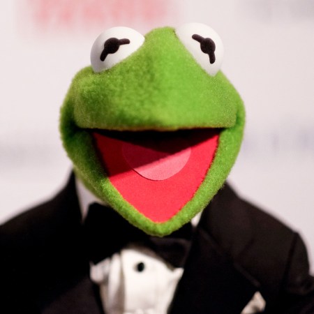 kermit the frog in a suit