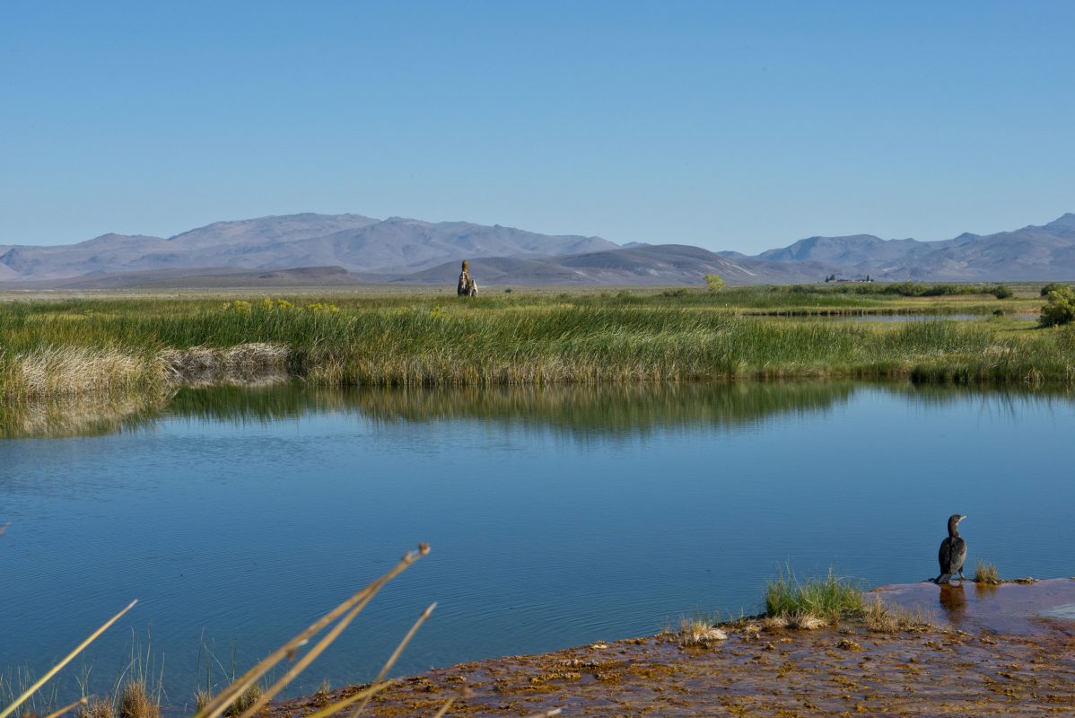 Inside Fly Ranch, Burning Man's Permanent Space in Nevada - InsideHook