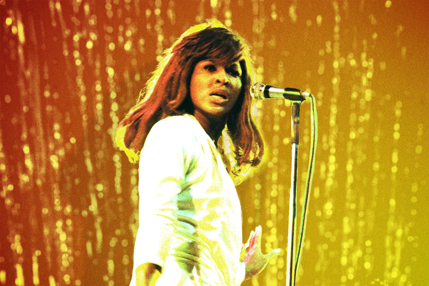 Tina Turner performs onstage