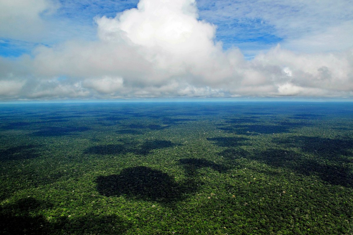 The Amazon rainforest as seen from the cloud line
