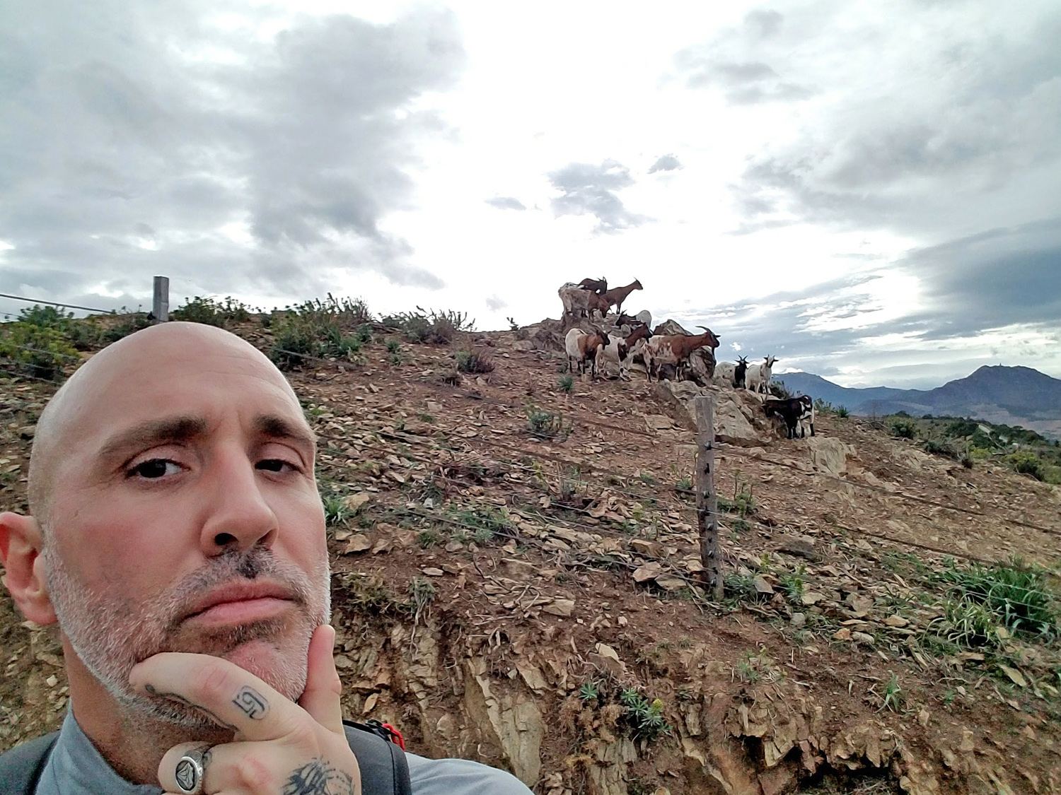 InsideHook creative director Danny Agnew takes a selfie with some goats in southwestern France