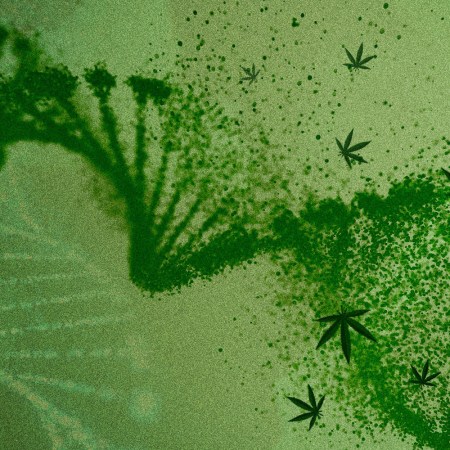 The 23andMe of Cannabis Tailors Strains to Your Exact DNA Profile