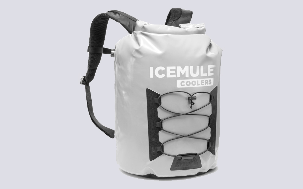 The Best Backpack Coolers of 2022 InsideHook