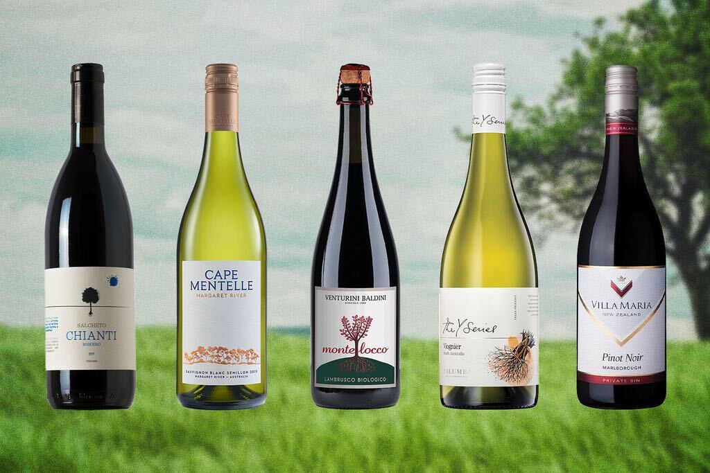 sustainable wines