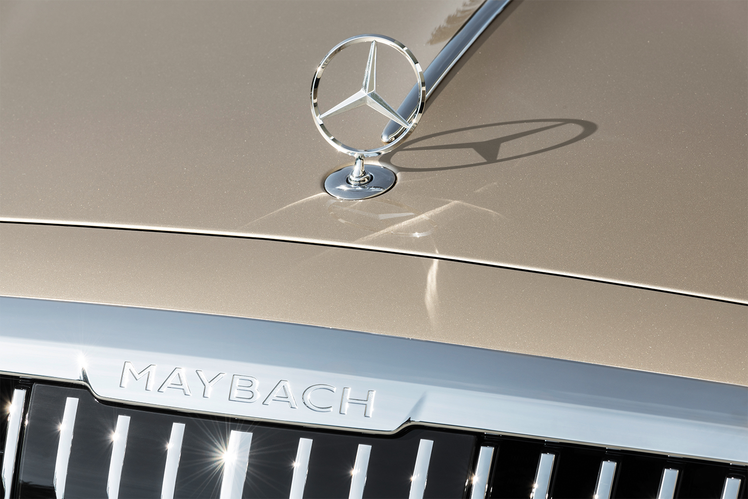 The Maybach name and Mercedes-Benz logo on the new Mercedes-Maybach S-Class