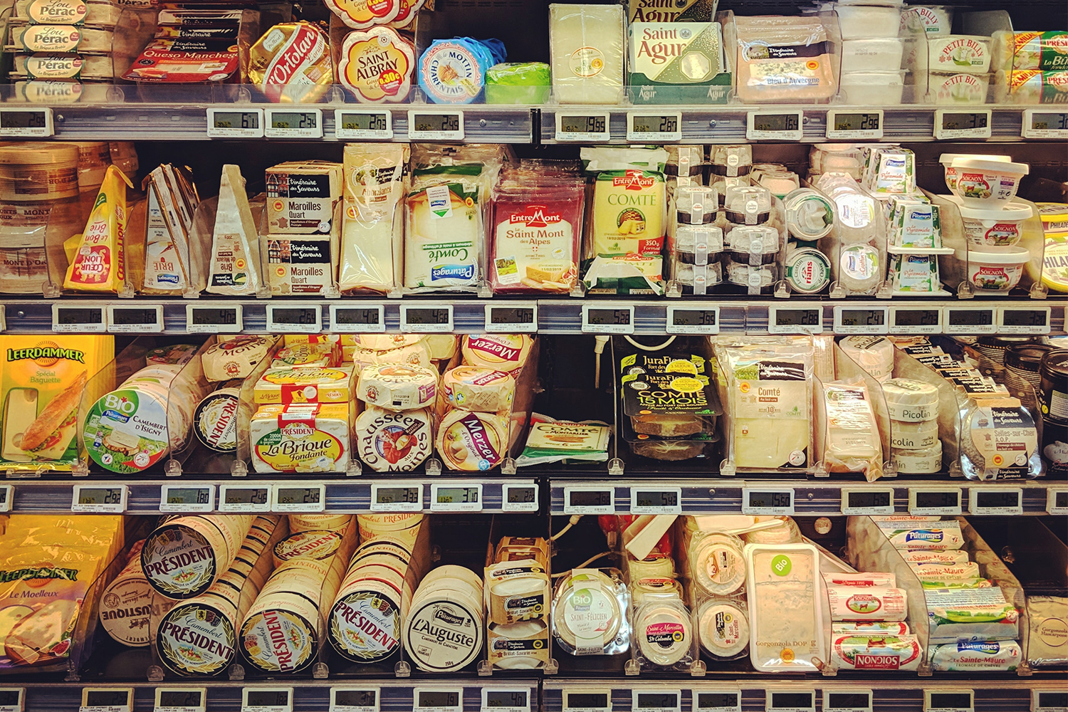 A selection of cheeses at a grocery store on refrigerated shelves
