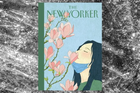 Chenmiao Shi's cover