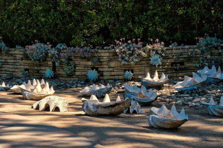 Shell Clam Tower Law Enforcement Seizes $25M in Poached Giant Clam Shells - InsideHook