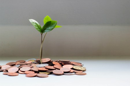 A green plant growing out of a pile of coins