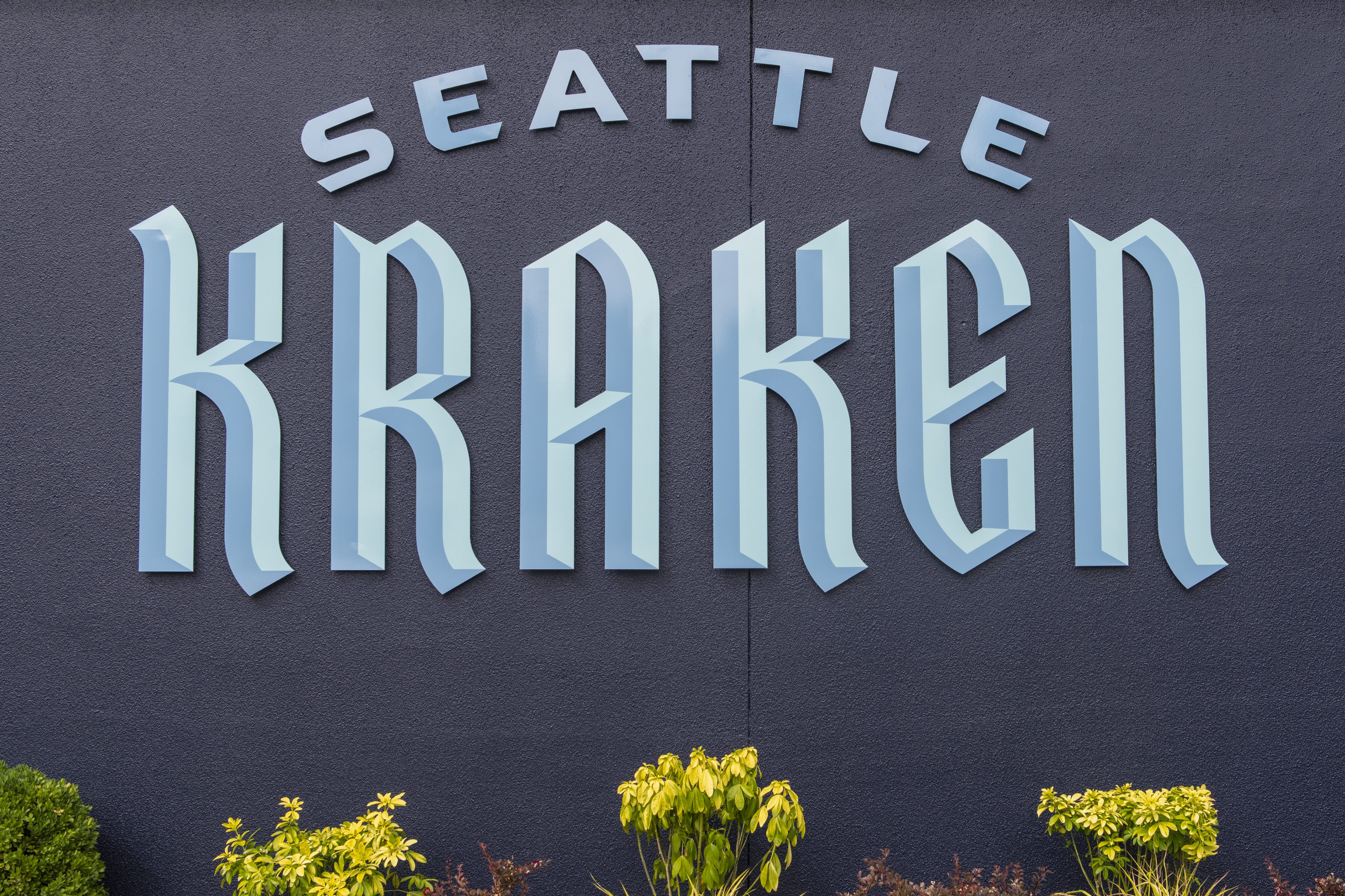 Seattle Punk Rock Bar Files $3.5 Million Lawsuit Against NHL’s Kraken Over Team Name