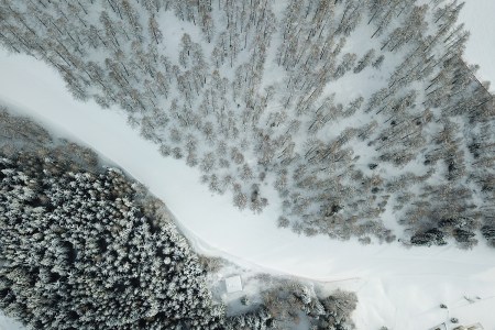 an overhead shot of a snowy scene with trees surrounding a path