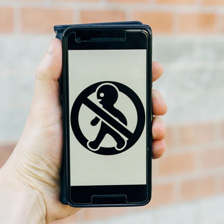 One hand on a phone that is showing a "do not walk" symbol