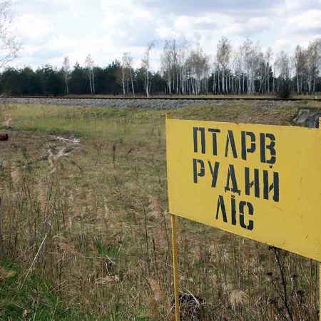 The sign marks the territory of the Red Forest, Kyiv Region, northern Ukraine