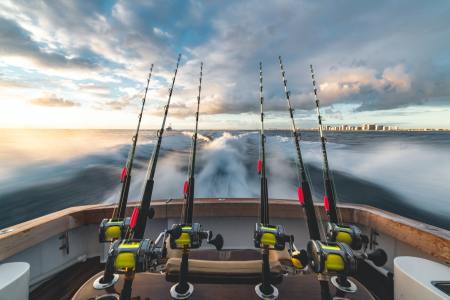 Fishing poles attached to the back of a boat