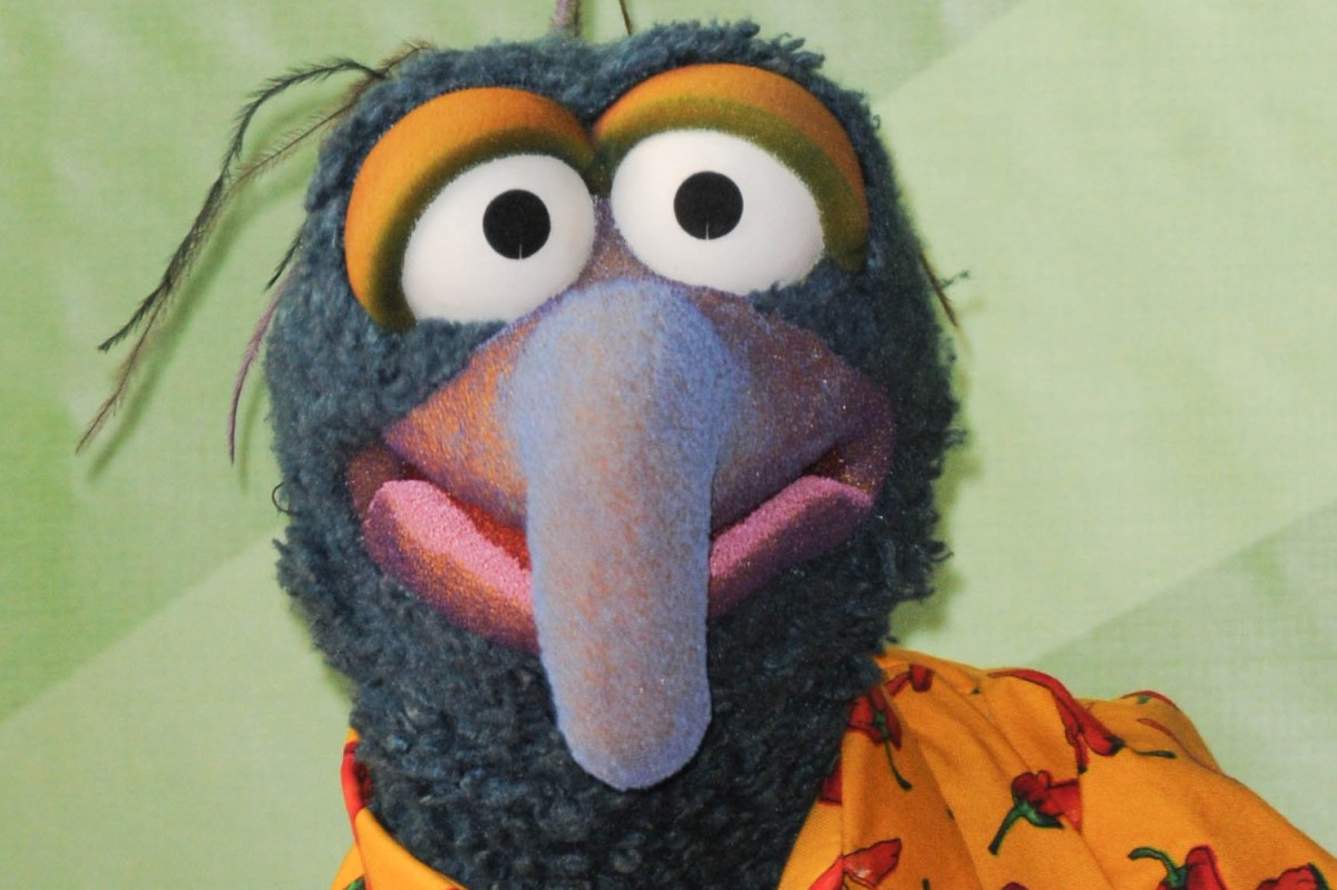 close of up of muppet Gonzo