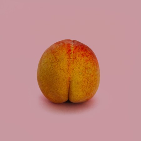 Peach on dusty pink background.