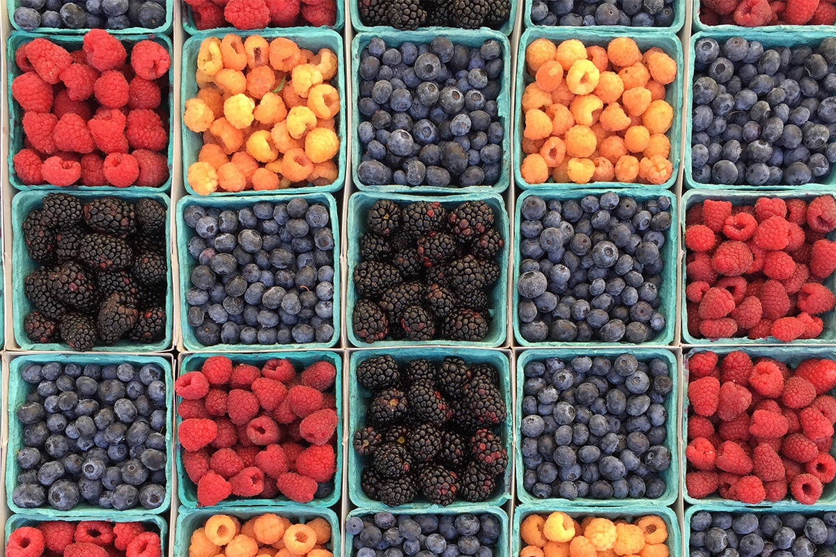 An overhead shot of blue cartons filled with red, blue and orange berries