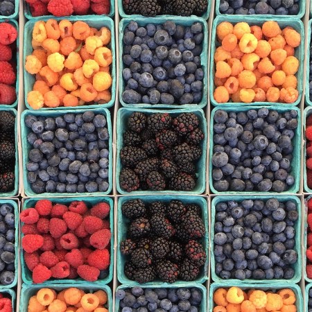 An overhead shot of blue cartons filled with red, blue and orange berries