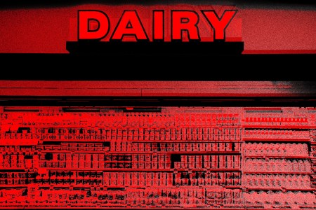 dairy wreaks havoc