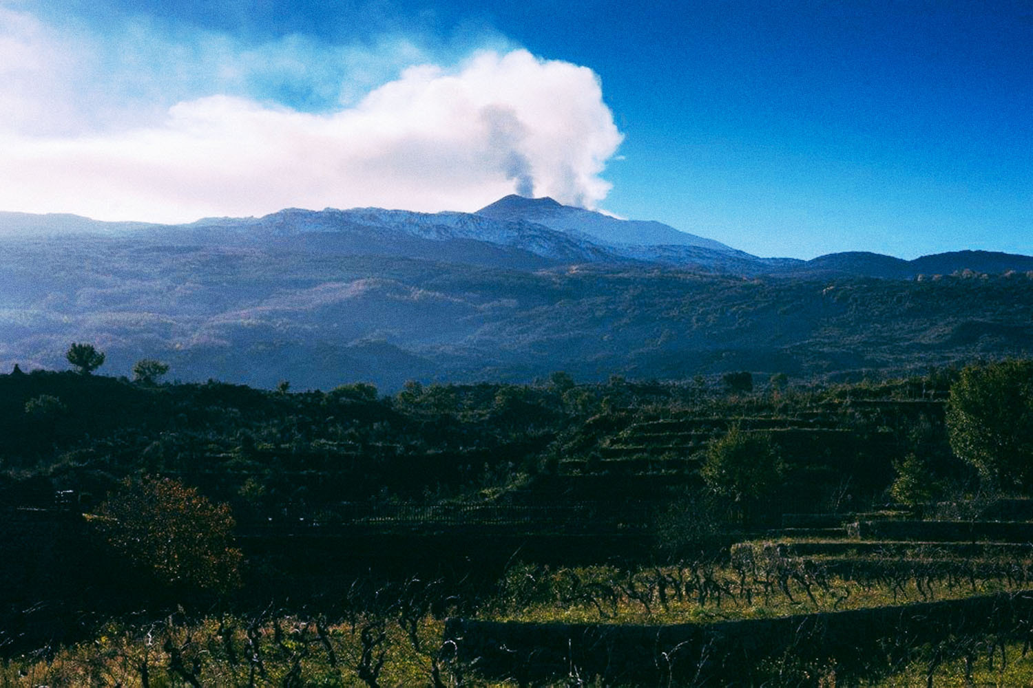 Near Sicily, this is Mount Etna in a smoking phase above the vineyards of Duca di Salaparuta.