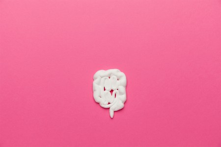 rewilding intestines