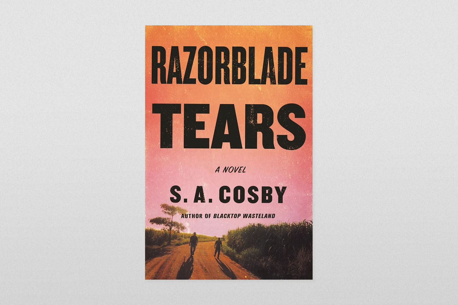"Razorblade Tears"
