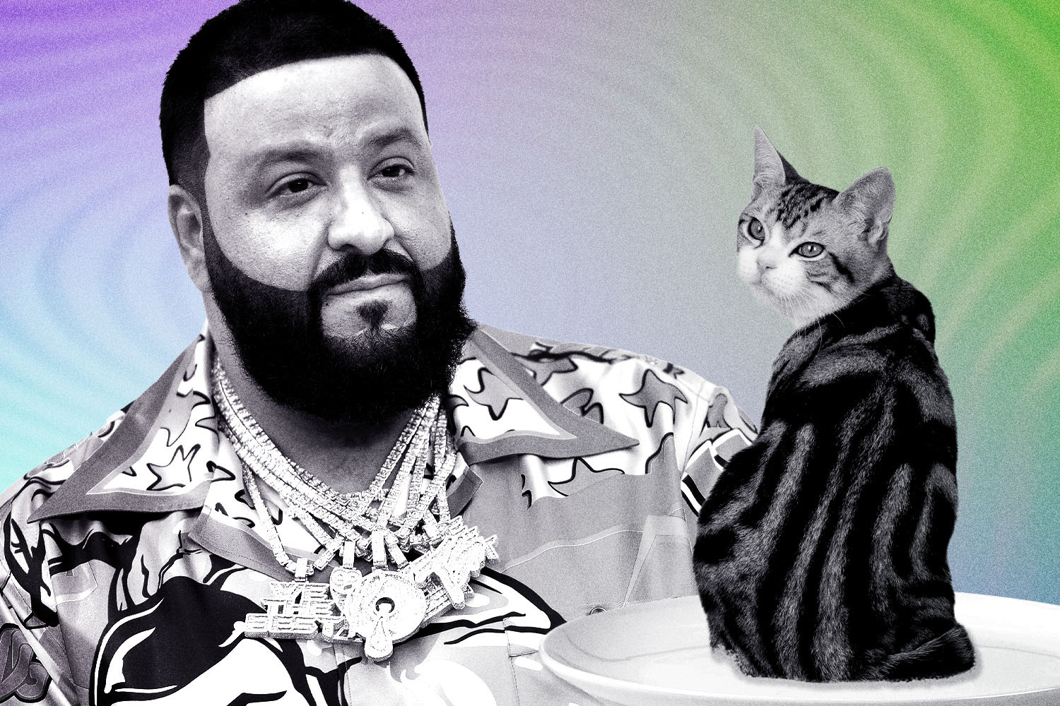 Photo of DJ Khaled and a cat