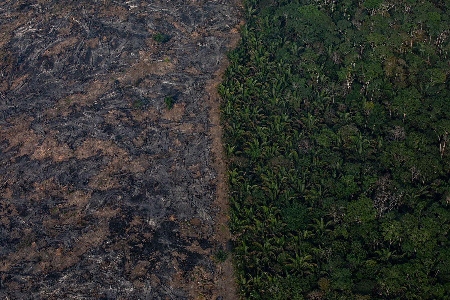 An aerial image of burned Amazon rainforest in the Brazilian state of Rondônia in 2019