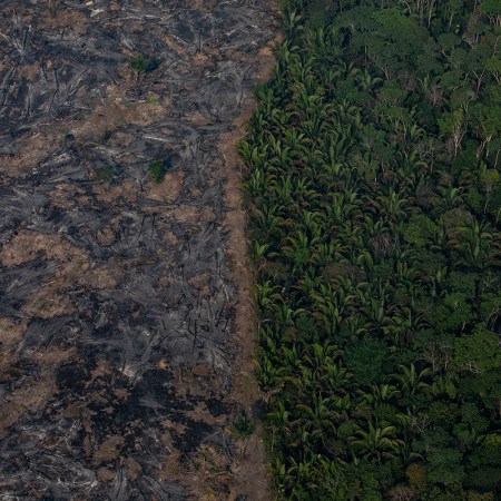 An aerial image of burned Amazon rainforest in the Brazilian state of Rondônia in 2019