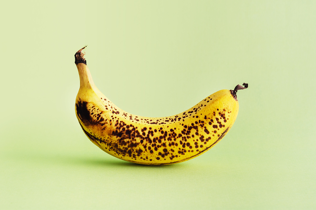 Which Color Banana Is The Most Nutritious Insidehook Which Color Banana Is The Most Nutritious Insidehook
