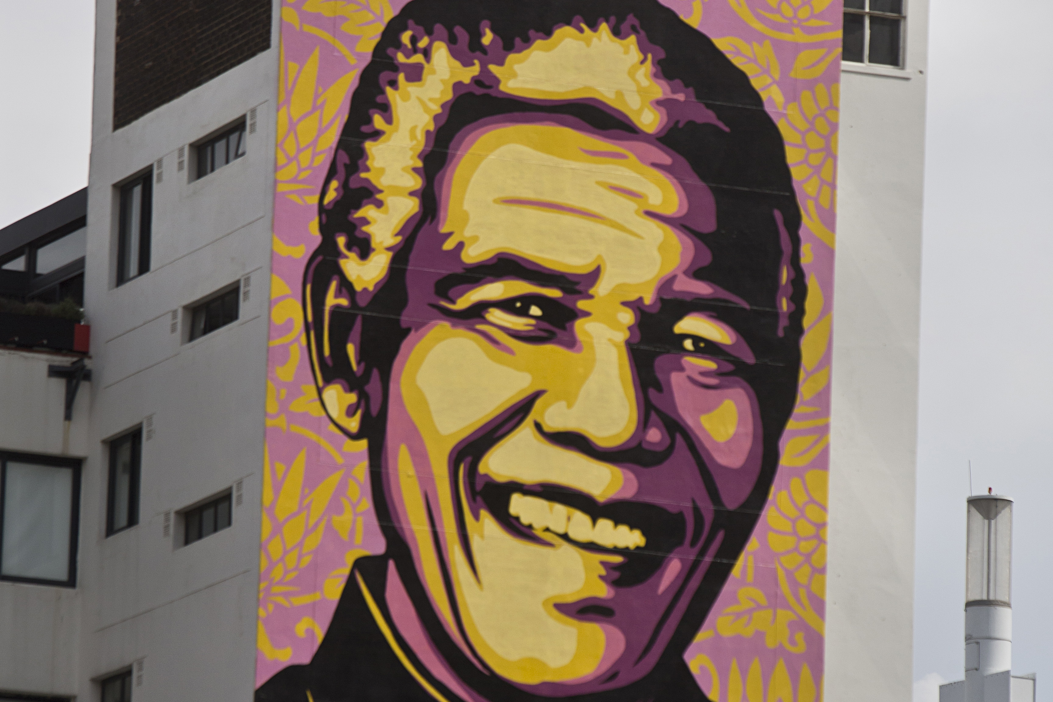 Shepard Fairey's Mural of Nelson Mandela in Johannesburg, South Africa