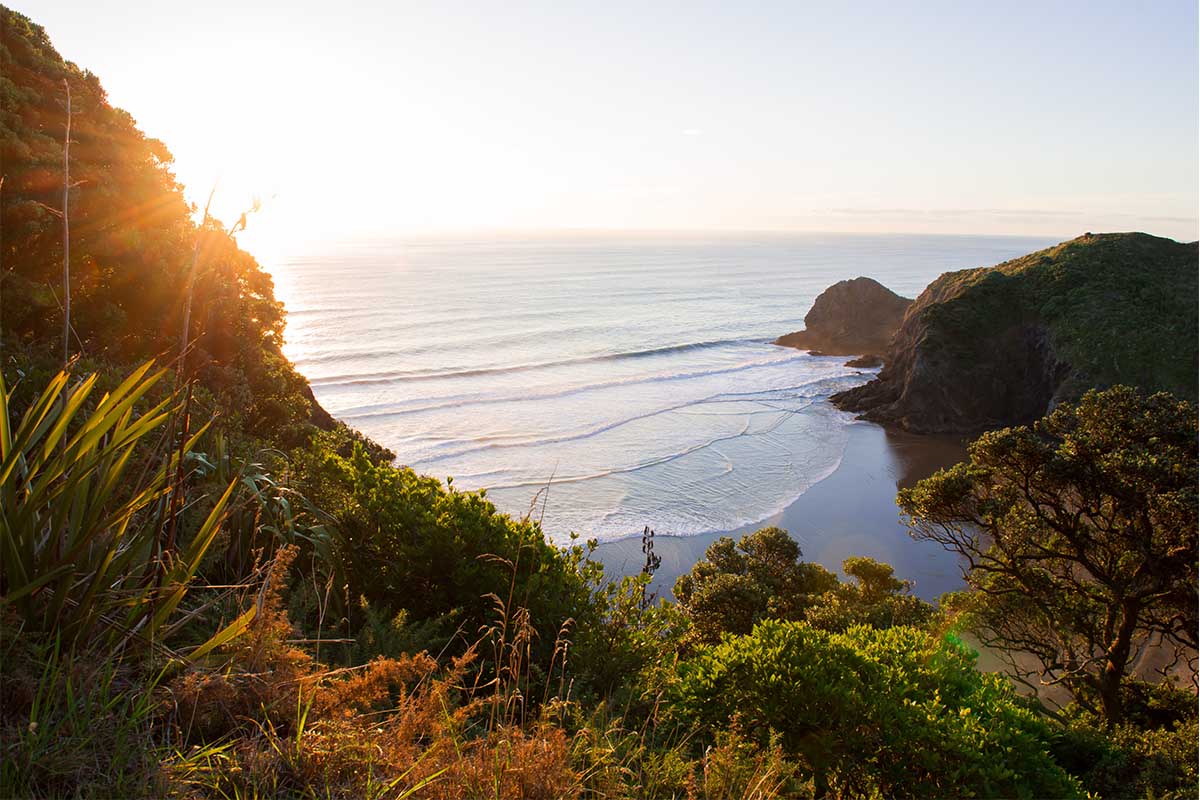 Between two iconic Auckland beaches - Anawhata and Piha - lies White’s Beach, New Zealand. if society collapses, new Zealand is seen as one of five areas that could serve as a "collapse lifeboat"
