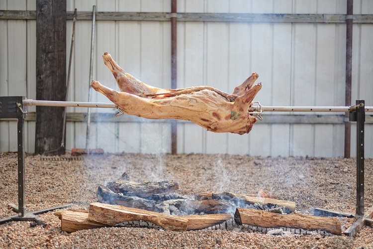 Austin Chef Jesse Griffiths Wants You to Eat More Feral