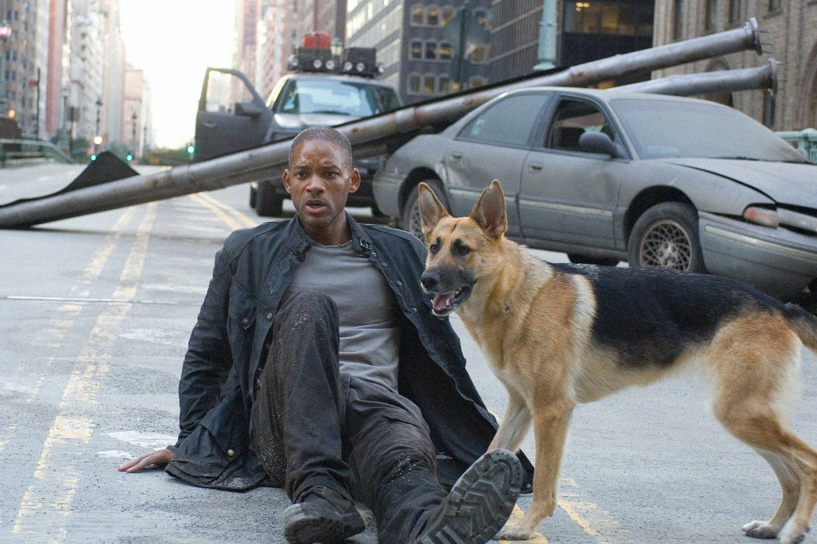 Will Smith and his dog in the film "I Am Legend" -- some anti-vaxxers are mistakenly suggesting that the film's premise is a good reason not to get the vaccine.