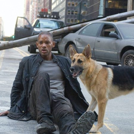 Will Smith and his dog in the film "I Am Legend" -- some anti-vaxxers are mistakenly suggesting that the film's premise is a good reason not to get the vaccine.