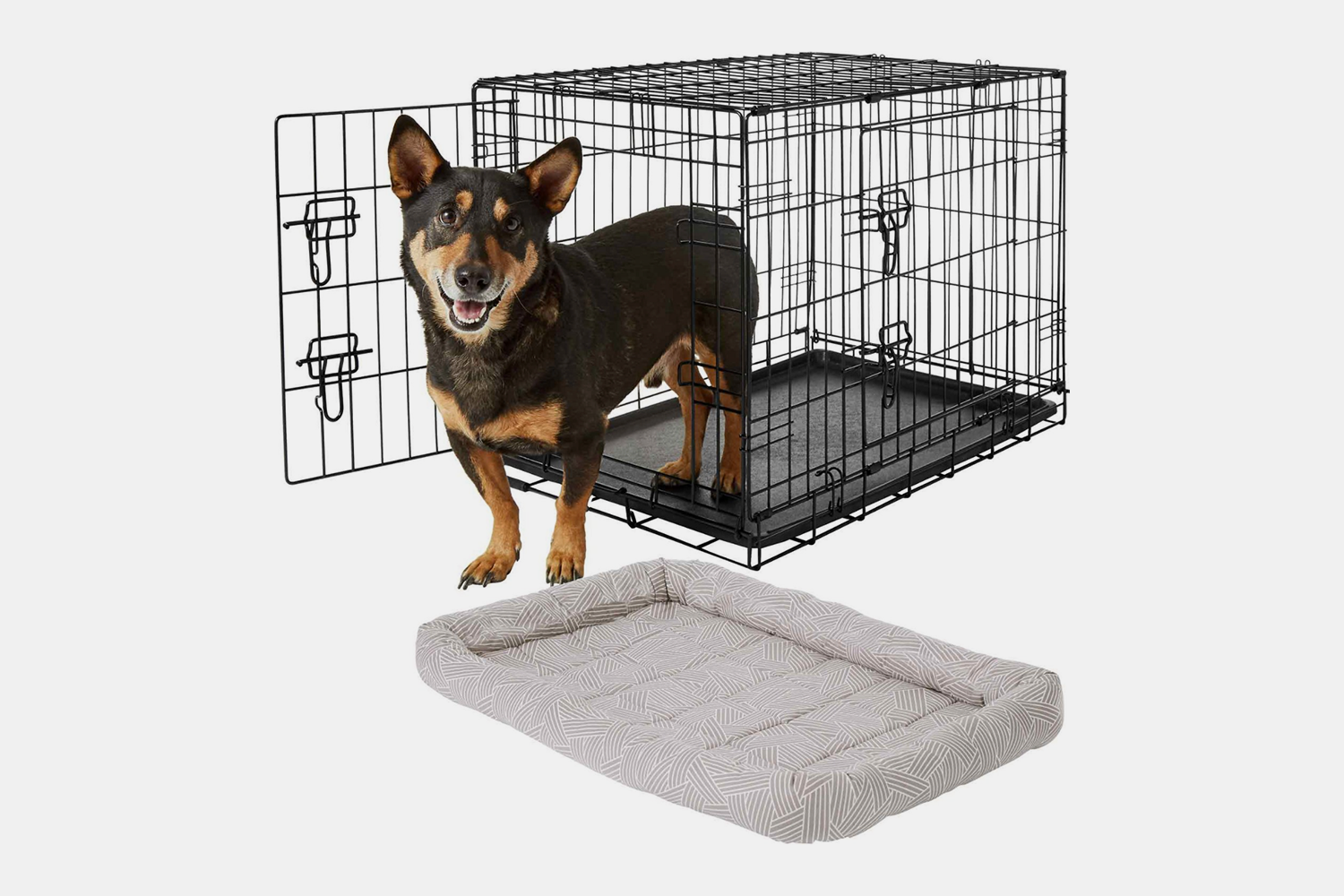 Bundle: Frisco Fold & Carry Double Door Collapsible Wire Dog Crate + Basket Weave Crate Mat, Gray