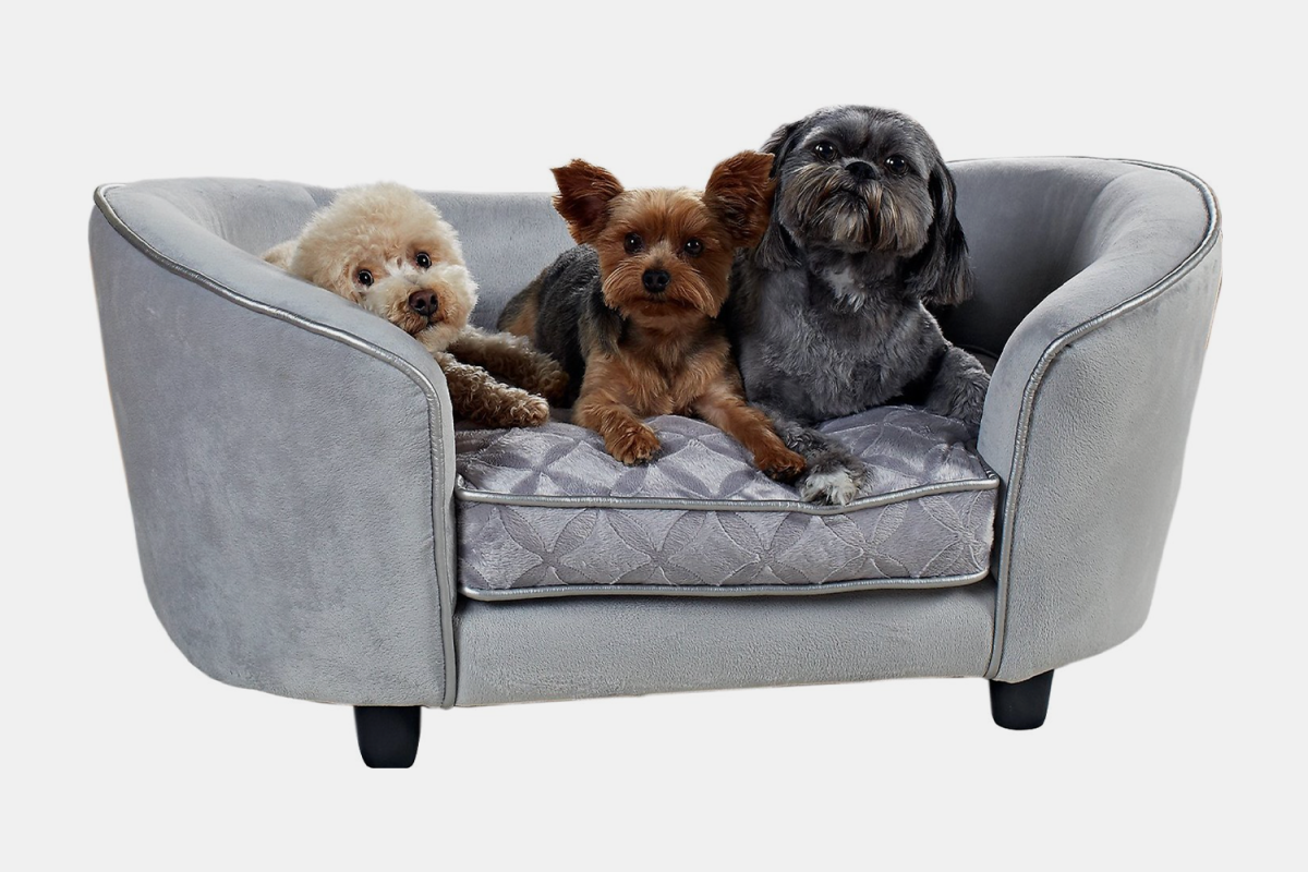 Three puppies on a dog bed from Chewy